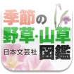 色やサイズで野草が分かるiPadアプリに惚れた！