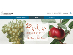 おいしそうな絵画を鑑賞しよう！　SOMPO美術館「おいしいボタニカル・アート 食を彩る植物のものがたり」11月5日～2023年1月15日開催