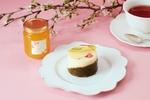 人生で一度は味わいたい！3年ぶりに発売される採蜜が難しくて超レアな「桜のはちみつ」