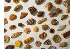 イイトルミネに行くたびに新しいパンに出会える、パンのセレクトショップ「BAKERs' Symphony」がオープン